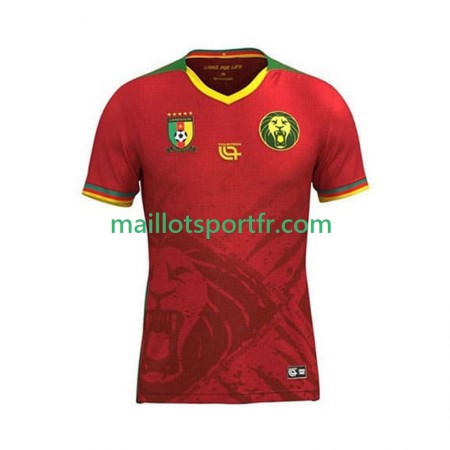 Maillot de Foot Cameroun Exterieur 2025